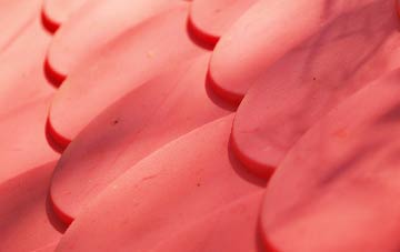 Little Totham plastic roof costs